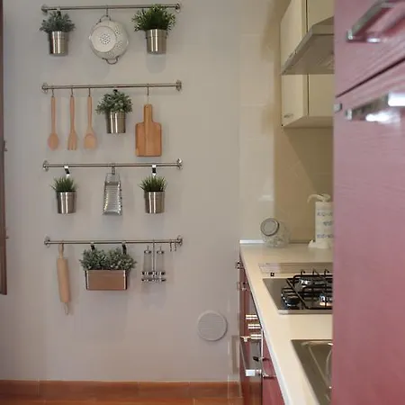 Lady Frantoio Toscano Holiday home *