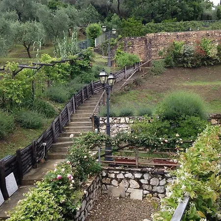 Lady Frantoio Toscano Holiday home *