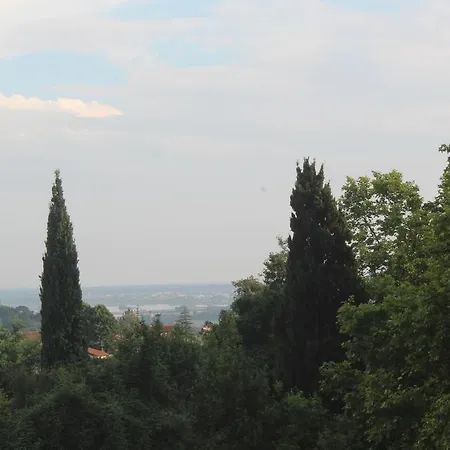 Lady Frantoio Toscano Corsanico-Bargecchia