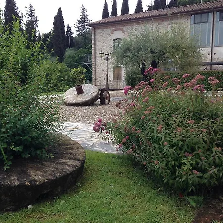 Lady Frantoio Toscano Holiday home
