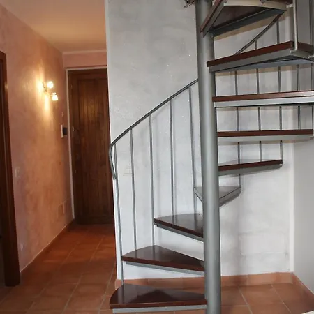 Lady Frantoio Toscano Holiday home